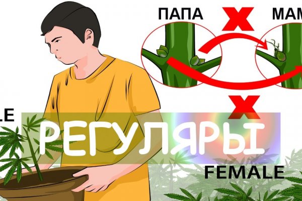 Кракен топ