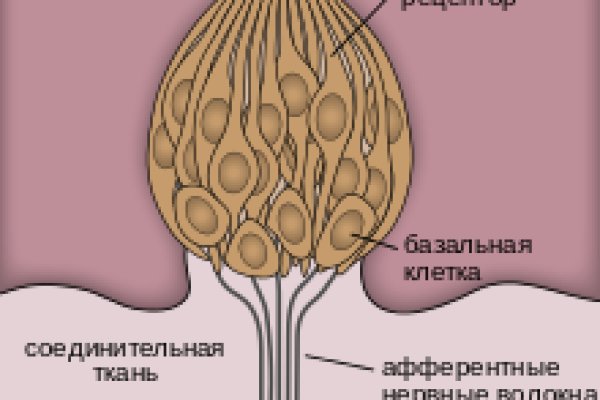 Кракен сайт как выглядит