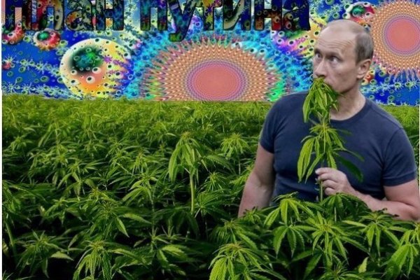 Кракен оригинальная ссылка для тор