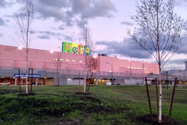 Пользователь не найден кракен