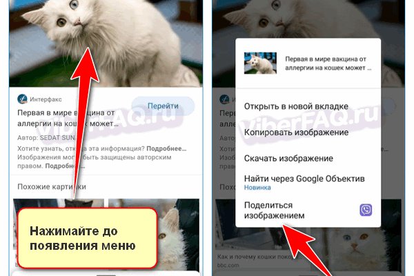 Забыл пароль от кракен
